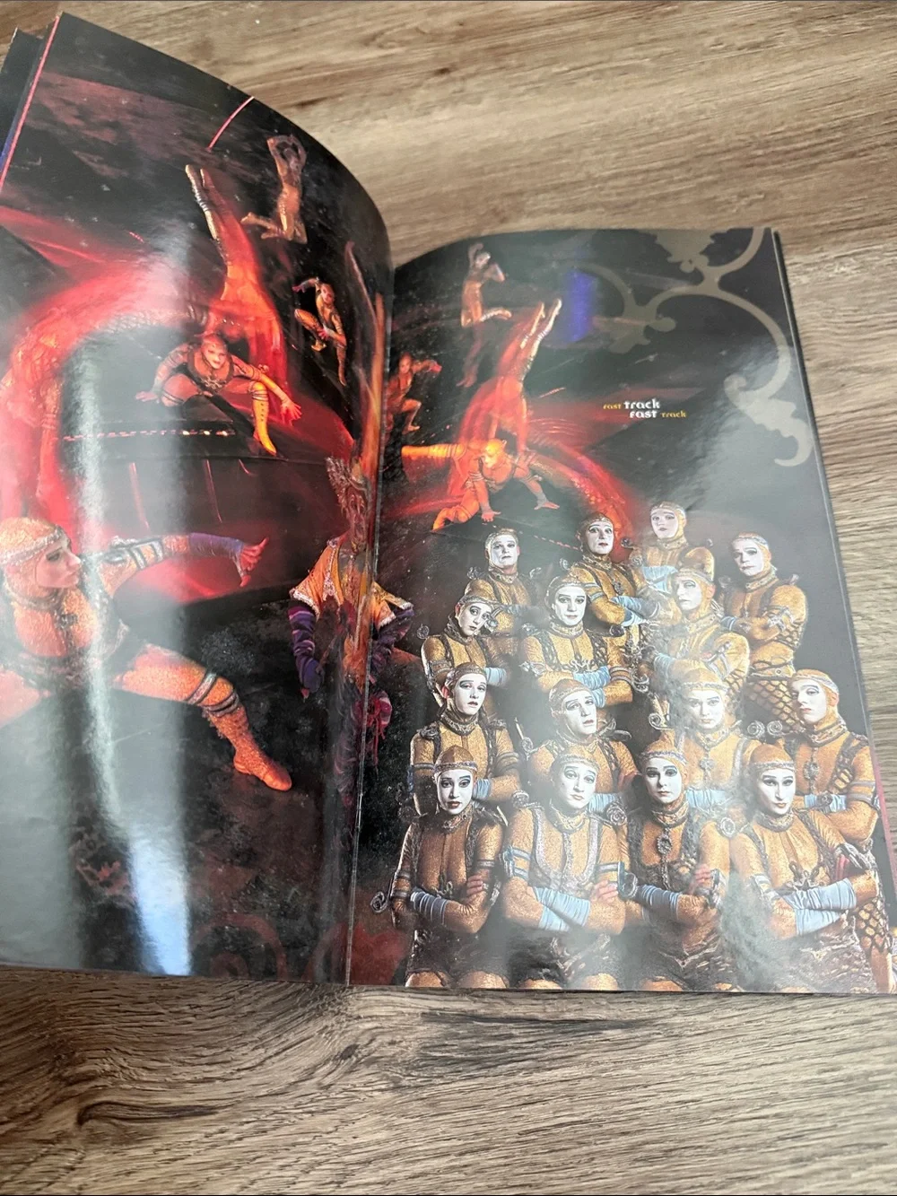 Vintage Cirque du Soleil ALEGRÍA Official Tour Program Book (1994)